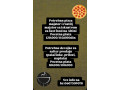 potrebni-radnici-u-fast-food-u-na-altini-small-0