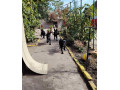 nemacki-ovcar-small-2