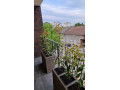 izdajem-stan-u-pancevu-small-4