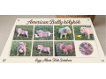 american-bully-pocket-lilac-stenci-small-1