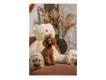 crvene-patuljaste-i-toy-pudle-small-1