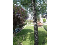 avala-blizu-megamarketa-koka-mar-200-m2-small-3