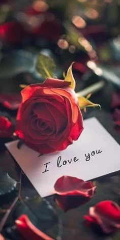 ARKANSAS✴ VERIFIED{+256780437107}✴RESILIENT BASED MAMA LOVE SPELL CASTER IN ARKANSAS