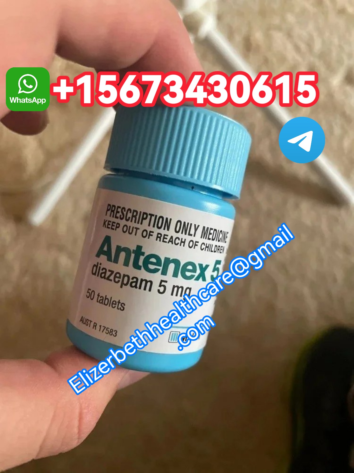 Profilna slika korisnika alphaid23