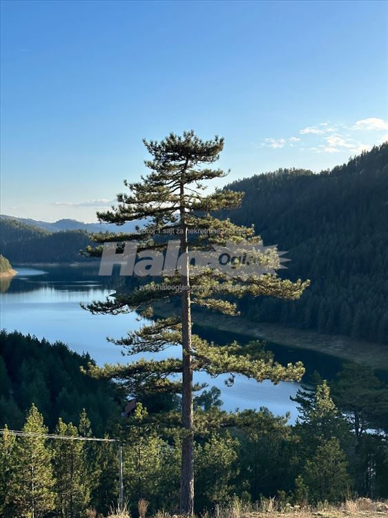 Tara jezero Zaovine 54 ara sa 2 gradjevinske dozvole