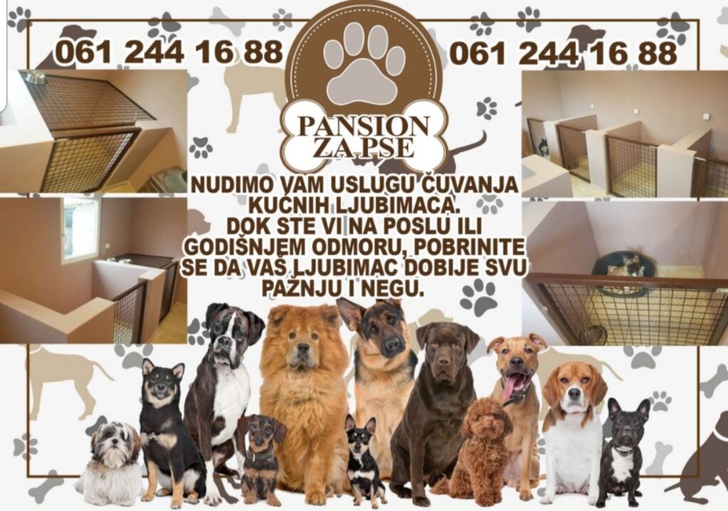 Pansion za pse - Subotica